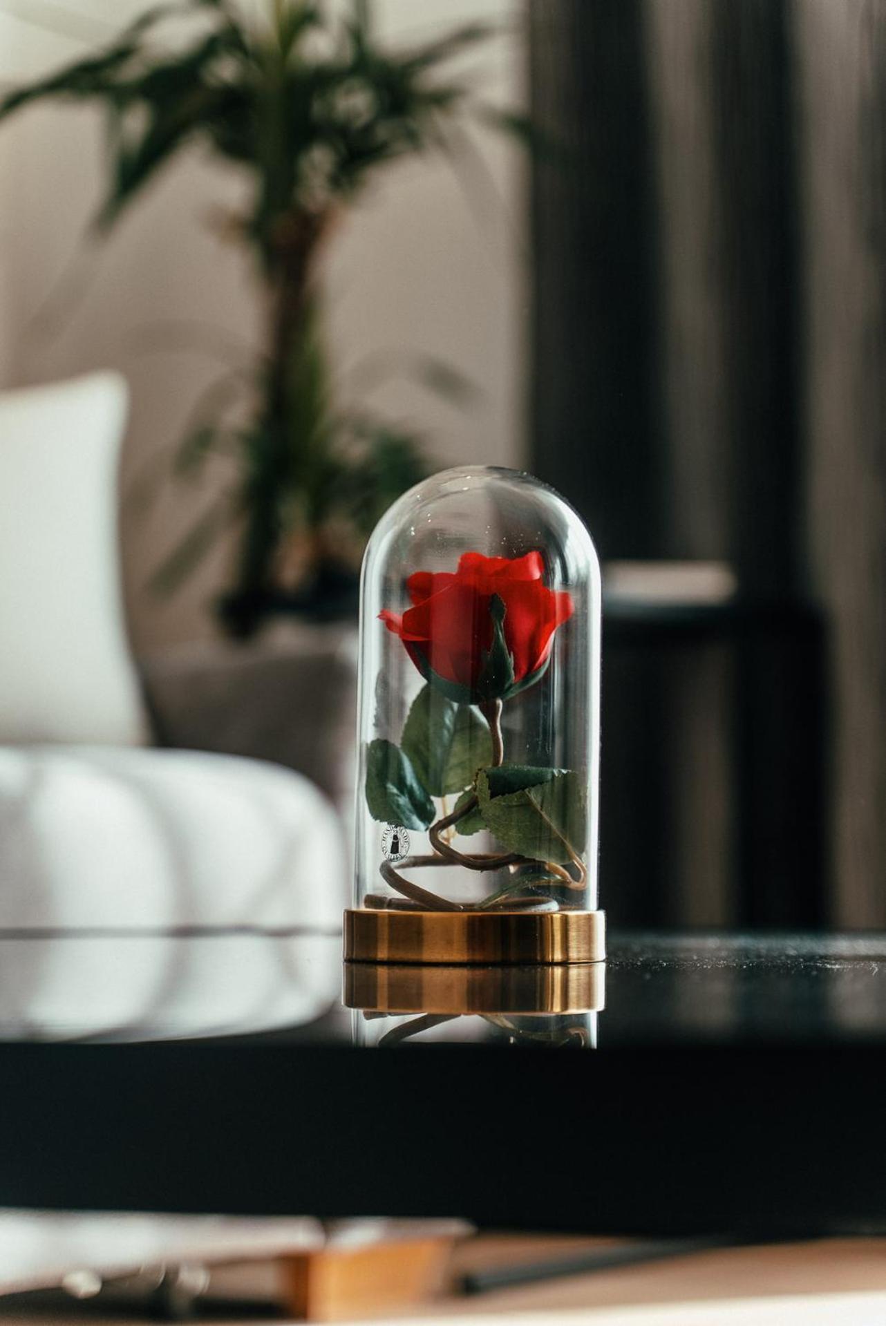 Biarritz Luxury Apartments Belgrado Buitenkant foto